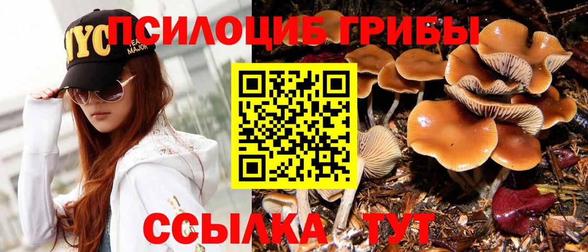 Новоалтайск  Псилоцибиновые грибы GOLDEN TEACHER  Вход с VPN 